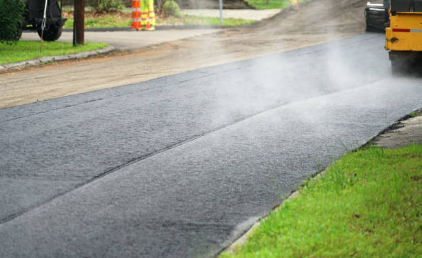 Best Brick Driveway Pavers  in Carrizo Hill, TX