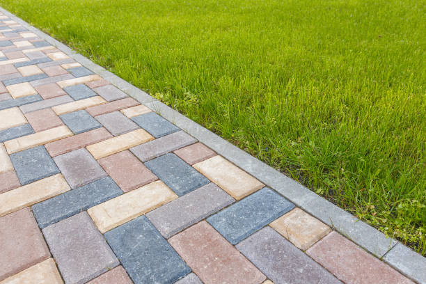 Best Driveway Paving Contractor  in Carrizo Hill, TX