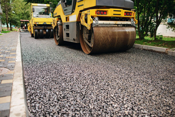 Best Residential Paver Driveway  in Carrizo Hill, TX